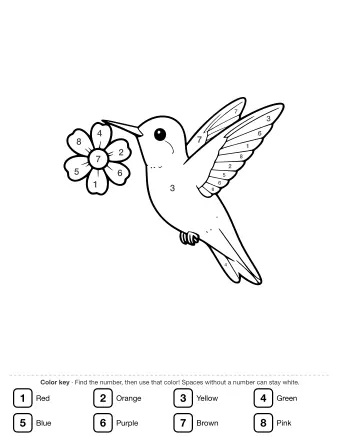 Black-and-white line drawing of a hummingbird hovering in flight with wings outstretched, its long beak touching the center of a five-petal flower.