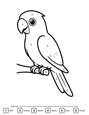 Black-and-white line drawing of a parrot perched on a branch, shown in profile with a curved beak, round eye, and long tail feathers.
