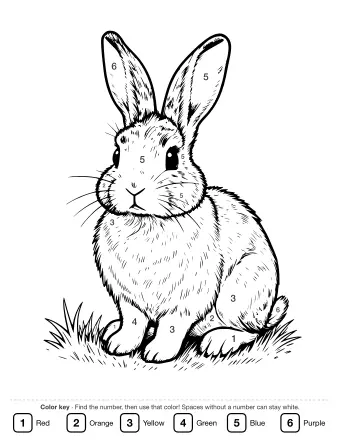 Black-and-white line drawing of a realistic rabbit sitting in grass, with long upright ears, whiskers, and detailed fur texture.