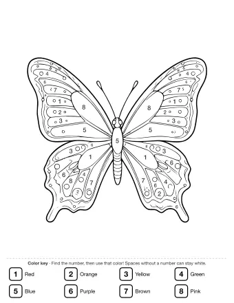 Black and white line drawing of a butterfly with four wings spread open, featuring intricate patterns, small circles, and detailed veins on a white background.
