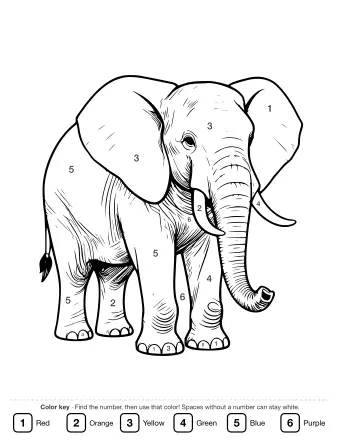 Black-and-white line drawing of a realistic elephant in side view, showing large ears, curved tusks, a long trunk, wrinkled skin, and a tufted tail.