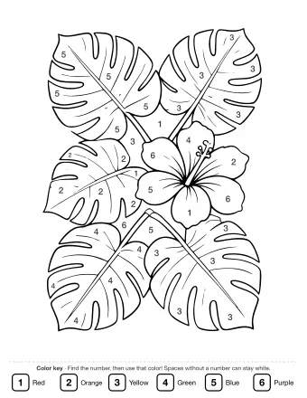 Black and white line drawing of five large monstera leaves with deep splits and a single five-petaled hibiscus flower with a long stamen in the center.