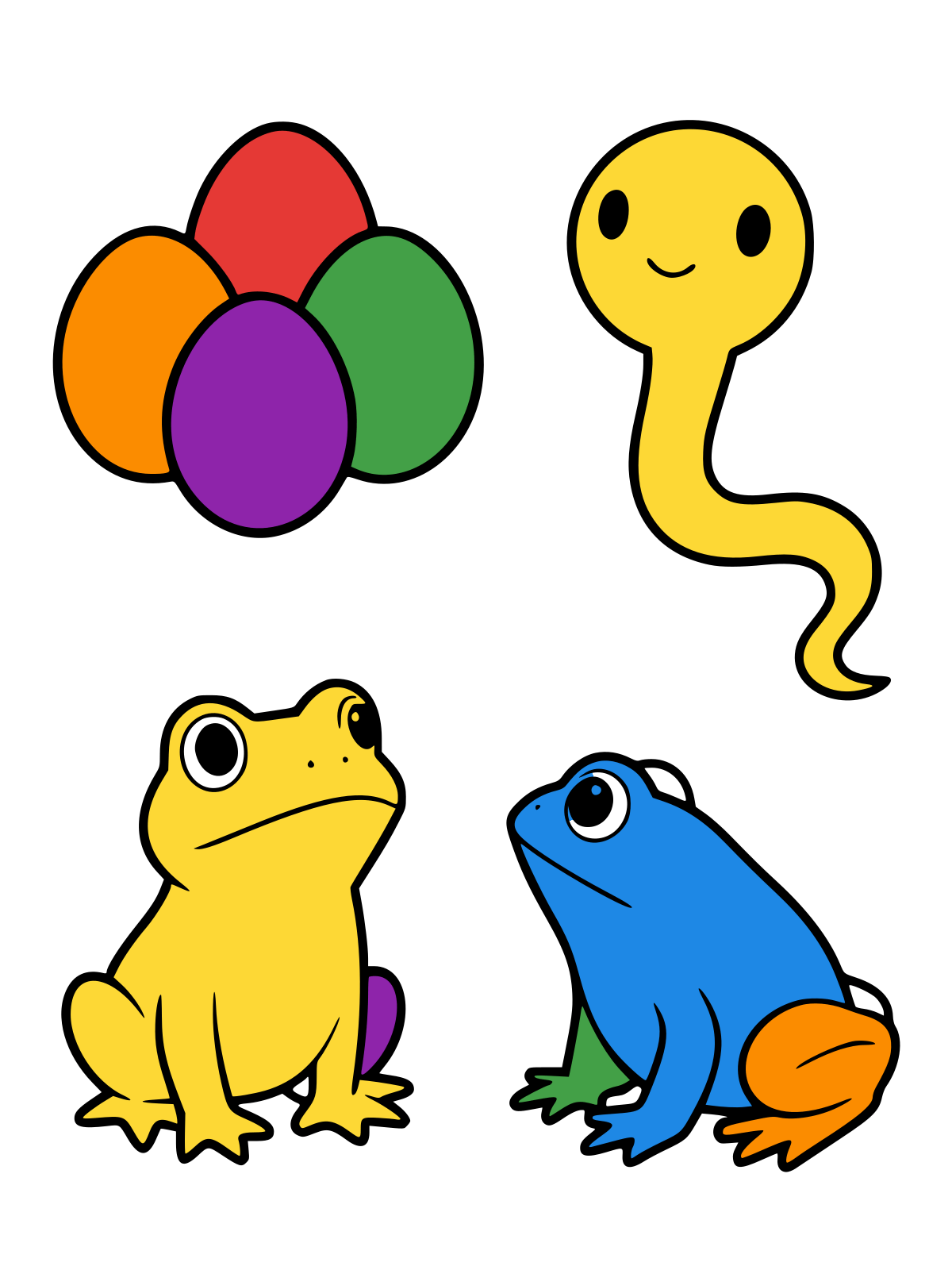 Four black-and-white line drawings arranged in a circle: a cluster of round frog eggs, a smiling tadpole with a long tail, a froglet with four legs and a shrinking tail, and an adult frog sitting upright.