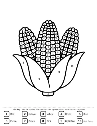 A group of three ears of corn with their outer leaves partially opened.