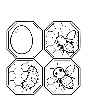 Four octagonal cells on a page: one with a large egg, one with a bee larva on a honeycomb pattern, and two with adult bees