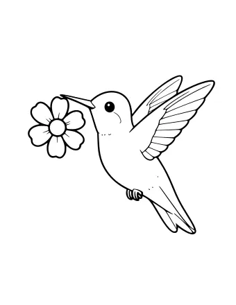 Black-and-white line drawing of a hummingbird hovering in flight with wings outstretched, its long beak touching the center of a five-petal flower.