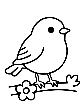 Line drawing of a plump round bird with a short beak perched on a thin branch with a flower and leaves.