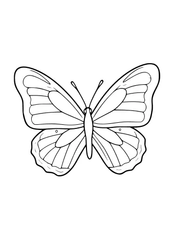 Dibujo lineal de una mariposa monarca con alas anaranjadas y negras, que muestra dos alas superiores y dos inferiores con manchas blancas y bordes ondulados, además de un cuerpo delgado y dos antenas.