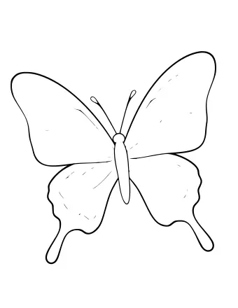 Dibujo lineal en blanco y negro de una mariposa cola de golondrina con cuatro alas, dos antenas y extensiones largas en forma de cola en las alas inferiores.