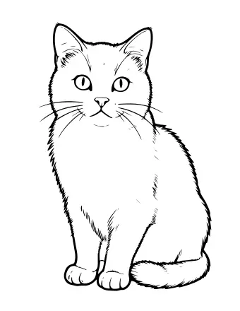 Black-and-white line drawing of a realistic cat sitting upright and facing forward, with large ears, whiskers, and detailed fur texture.