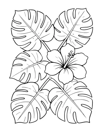 Dibujo lineal en blanco y negro de cinco grandes hojas de monstera con profundas divisiones y una sola flor de hibisco de cinco pétalos con un largo estambre en el centro.
