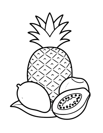 Line drawing of a pineapple with a leafy crown, a mango and a cut papaya with seeds lying on a big leaf