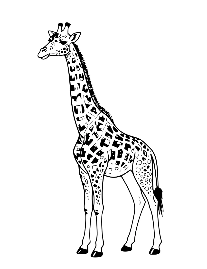 Black-and-white line drawing of a realistic giraffe standing in profile, showing its long neck, ossicones, spotted coat, and tail.