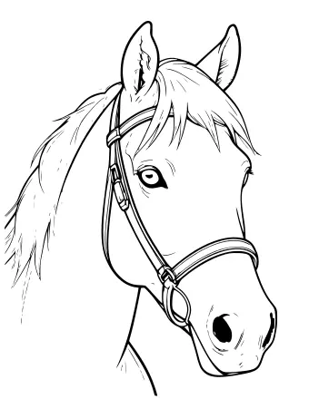Dibujo lineal en blanco y negro de la cabeza de un caballo de perfil, con brida, melena suelta y ojos grandes y expresivos.