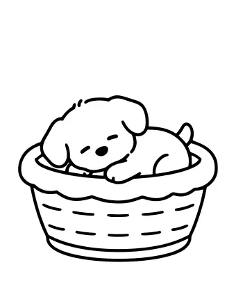 Dibujo lineal en blanco y negro de un pequeño cachorro acurrucado y dormido dentro de una canasta tejida, con los ojos cerrados y la cola enrollada alrededor del cuerpo.
