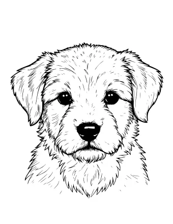 Dibujo lineal en blanco y negro de la cara de un cachorro en primer plano, que muestra pelaje desgreñado, orejas caídas, grandes ojos oscuros y una nariz negra.