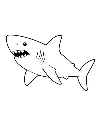 Black-and-white line drawing of a great white shark in side view, showing a pointed snout, open mouth with sharp teeth, five gill slits, a tall dorsal fin, pectoral and pelvic fins, and a large tail fin.