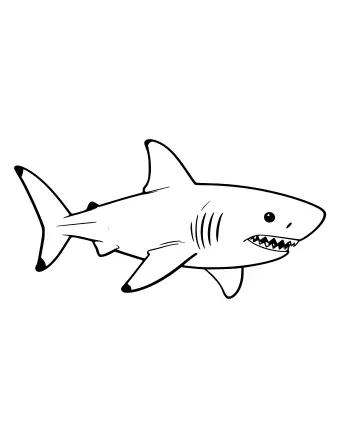 Black-and-white line drawing of a realistic shark in side profile, showing a pointed snout, a row of sharp teeth, five gill slits, a tall dorsal fin, pectoral and pelvic fins, and a forked tail fin.