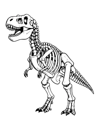 A full T. rex skeleton standing with an open jaw, showing ribs, spine and leg bones