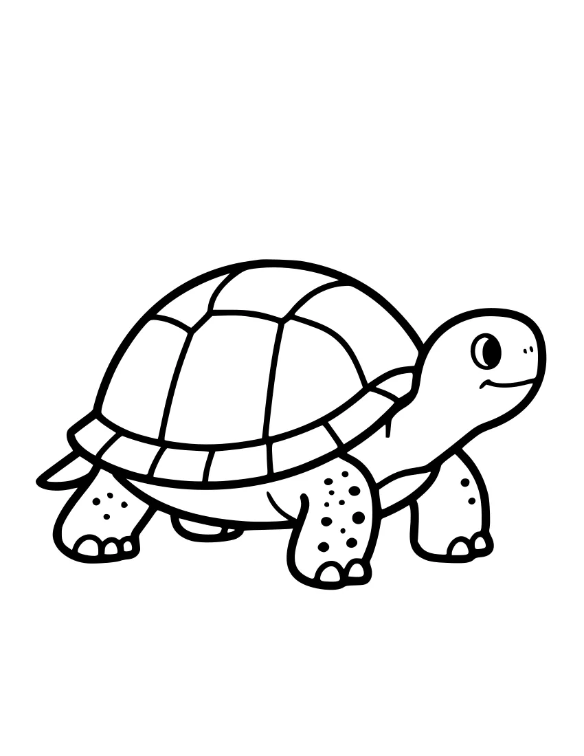 Black-and-white line drawing of a box turtle with a high domed shell, four spotted legs, and a smiling face, facing right.